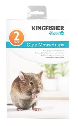 2 Pack Mouse Glue Trap